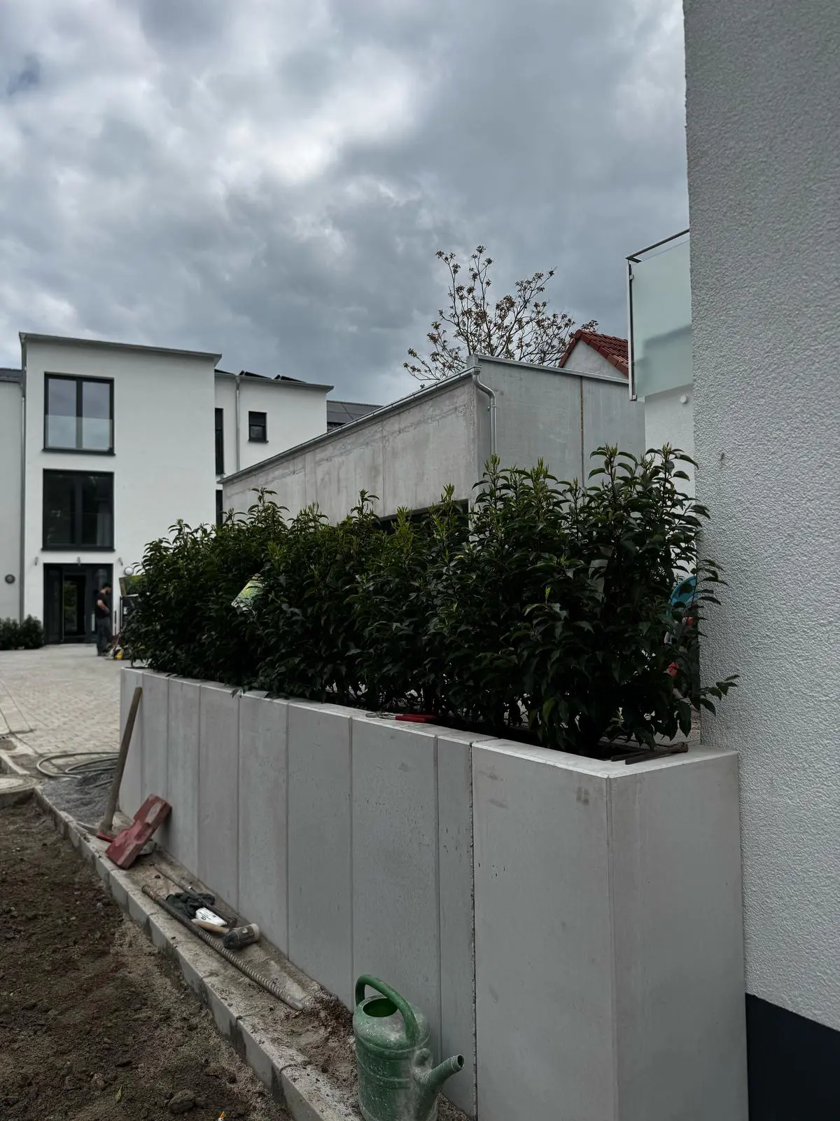 Mauerscheiben vor Hecke aus Lorbeerkirsche (portugiesisch) als Terrasseneinfassung, Absturzsicherung und Sichtschutz