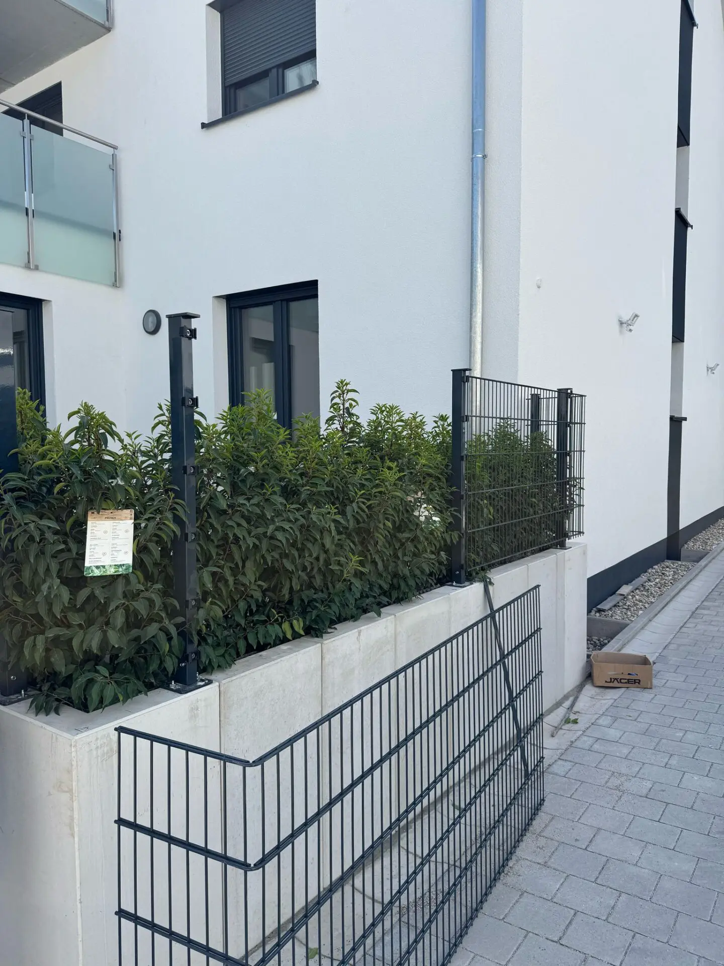 Montage Doppelstabmattenzaun auf Mauerscheiben vor Hecke aus Lorbeerkirsche (portugiesisch) als Terrasseneinfassung, Absturzsicherung und Sichtschutz