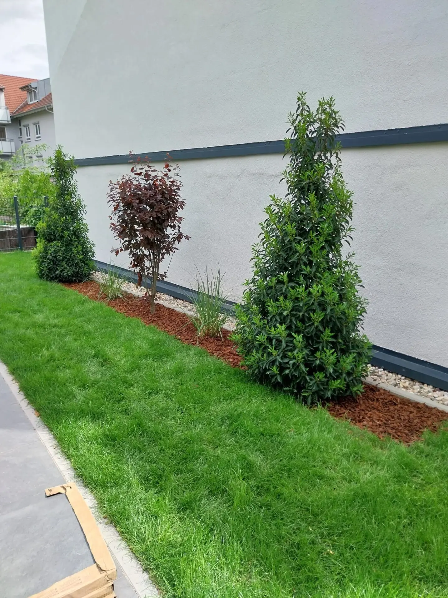 Begrünung mit portugiesischem Kirschlorbeer, Pampasgras und Blutpflaume