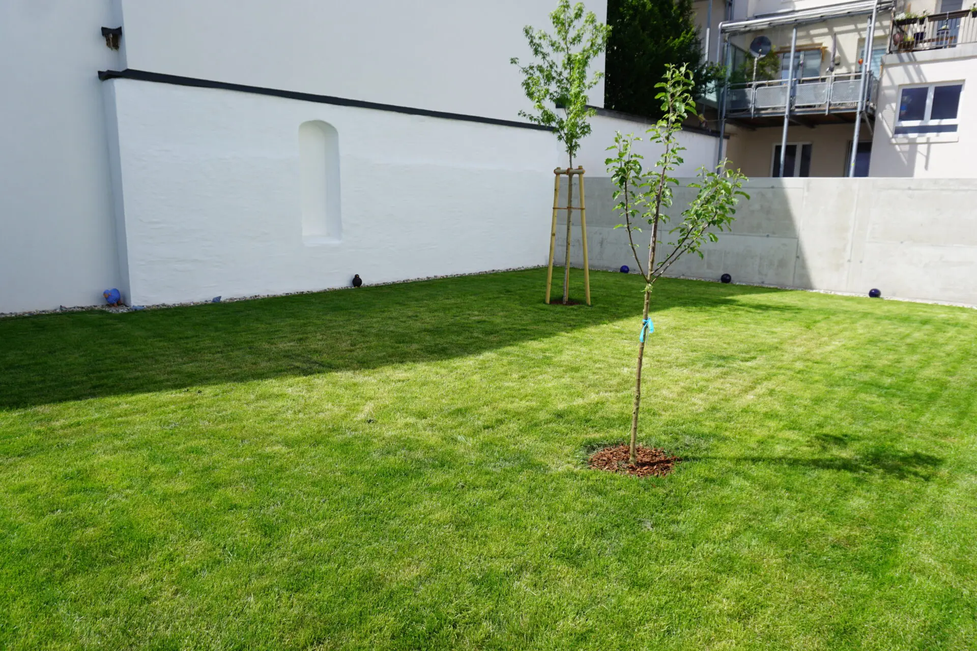 Rollrasen (Classic-Sport) und Setzen von Obst- (Malus Elstar) und Amberbaum