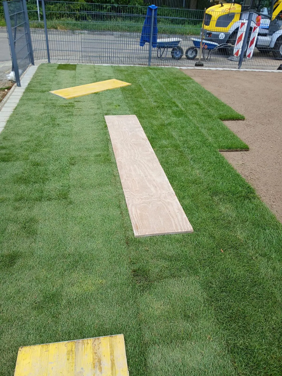 Verlegung Rollrasen (Classic-Sport) auf planierter Rasenerde