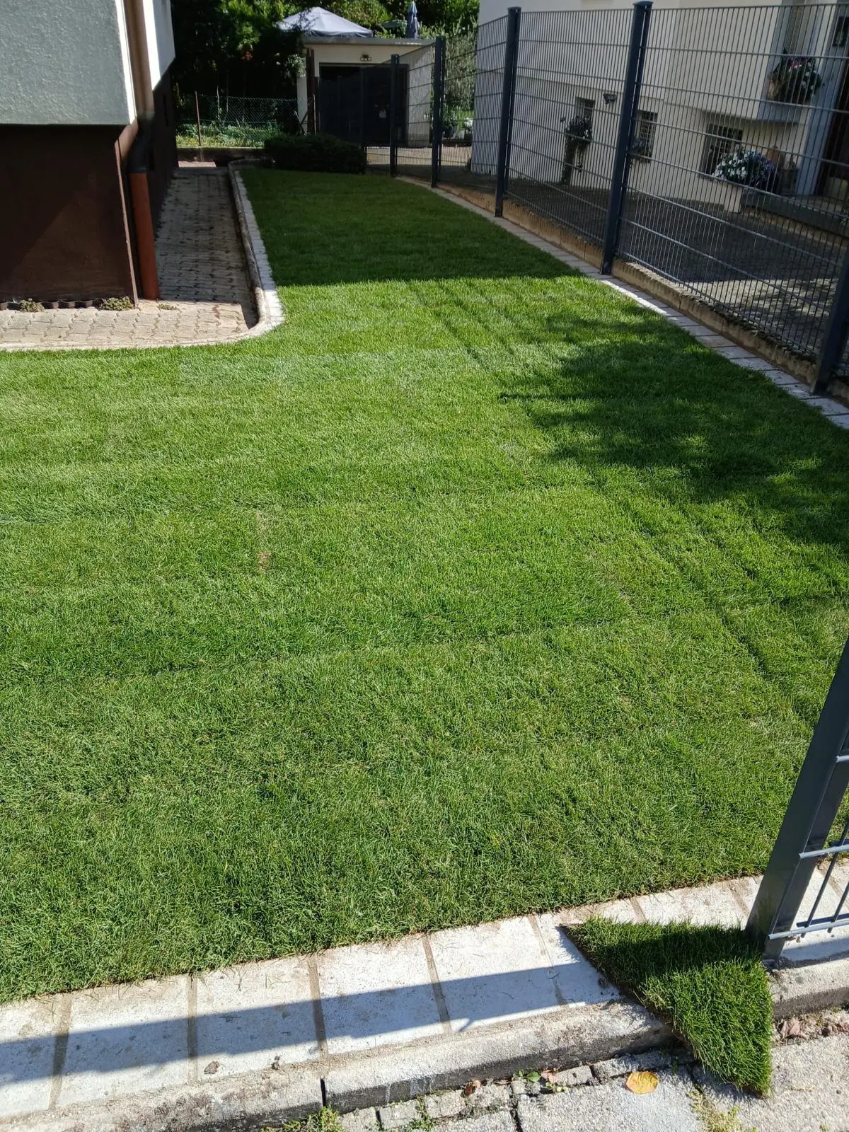 Rollrasen (Classic-Sport), Doppelstabmattenzaun als Grundstückseinfassung und Mähkante