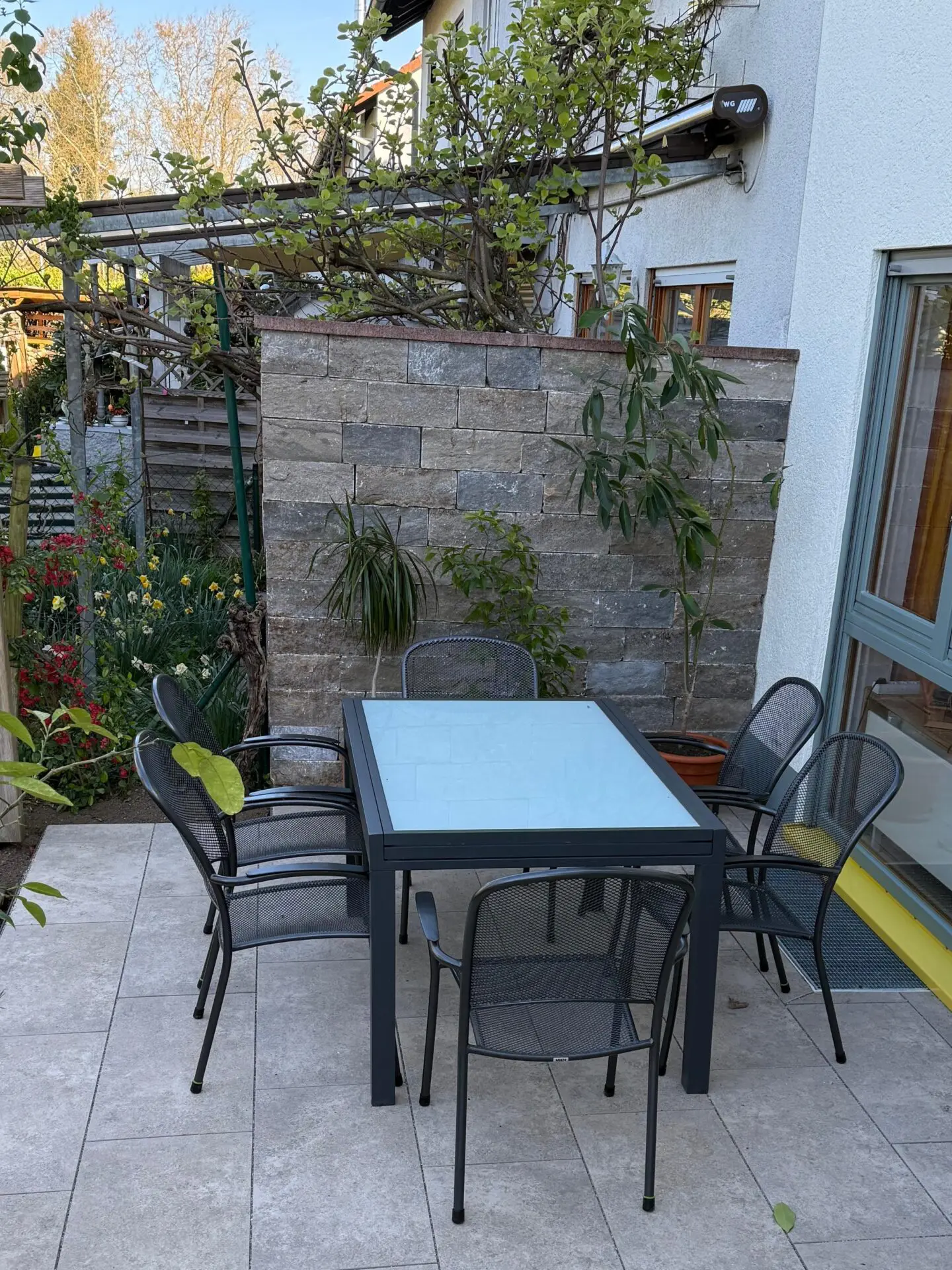 Natursteinmauer aus Muschelkalk Mauersteinen als Sichtschutz und Terrassenabgrenzung; Terrasse mit italienischen Keramikfliesen, Farbe bourgogne in 80x40x3cm