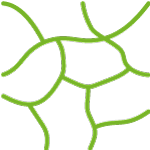 Vektorgrafik grüne Steine in Freiform auf weißem Hintergrund